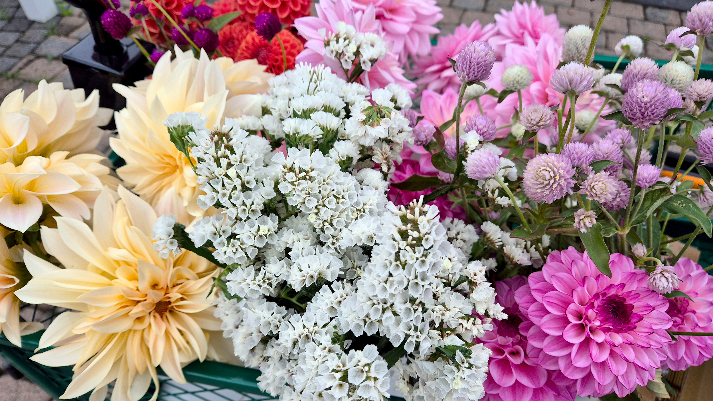 Feestbloemen - Dream Dahlia Farm
